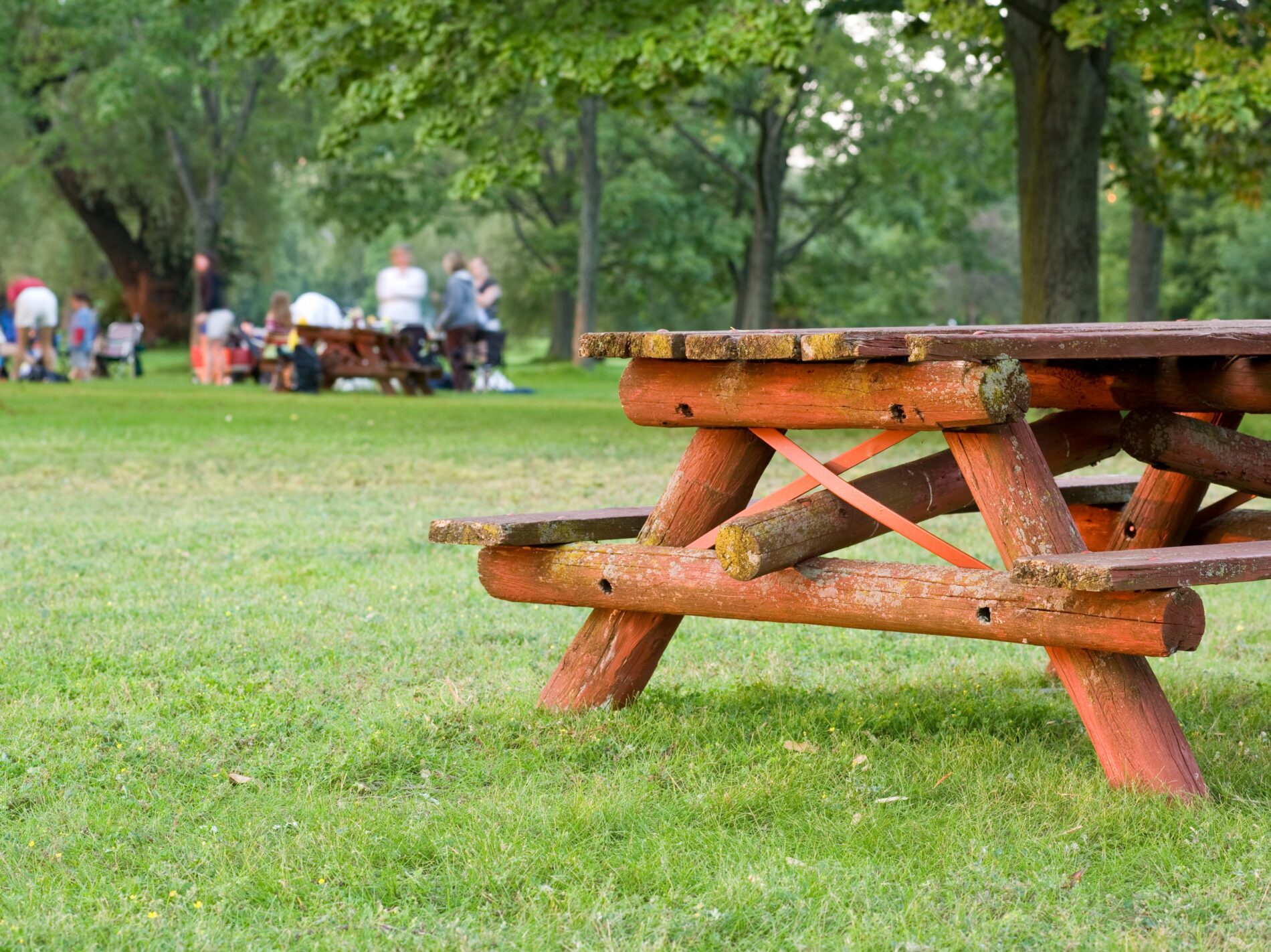 picnic bench